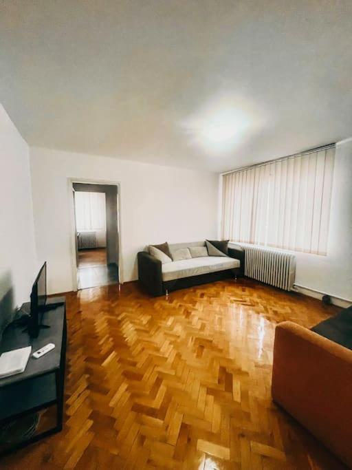 Ultracentral Big Flat Near The Opera Square P17 Тімішоара Екстер'єр фото