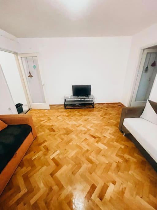 Ultracentral Big Flat Near The Opera Square P17 Тімішоара Екстер'єр фото