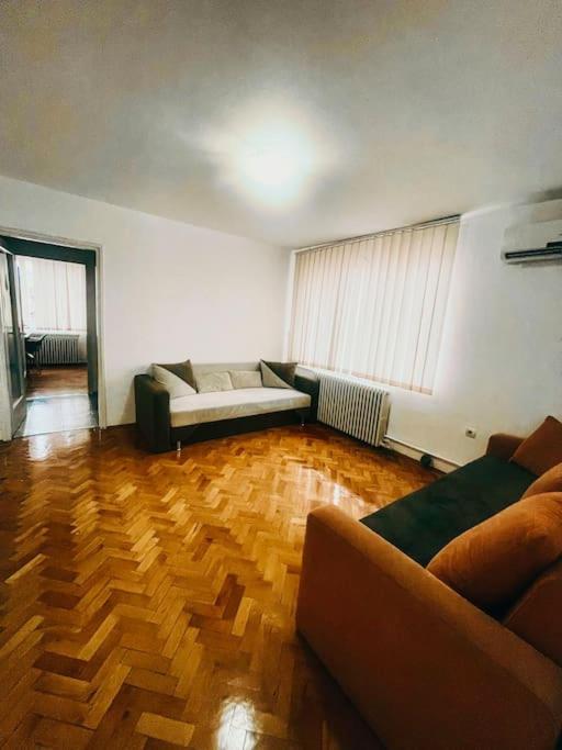 Ultracentral Big Flat Near The Opera Square P17 Тімішоара Екстер'єр фото