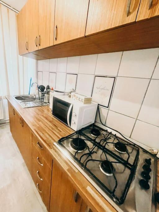 Ultracentral Big Flat Near The Opera Square P17 Тімішоара Екстер'єр фото